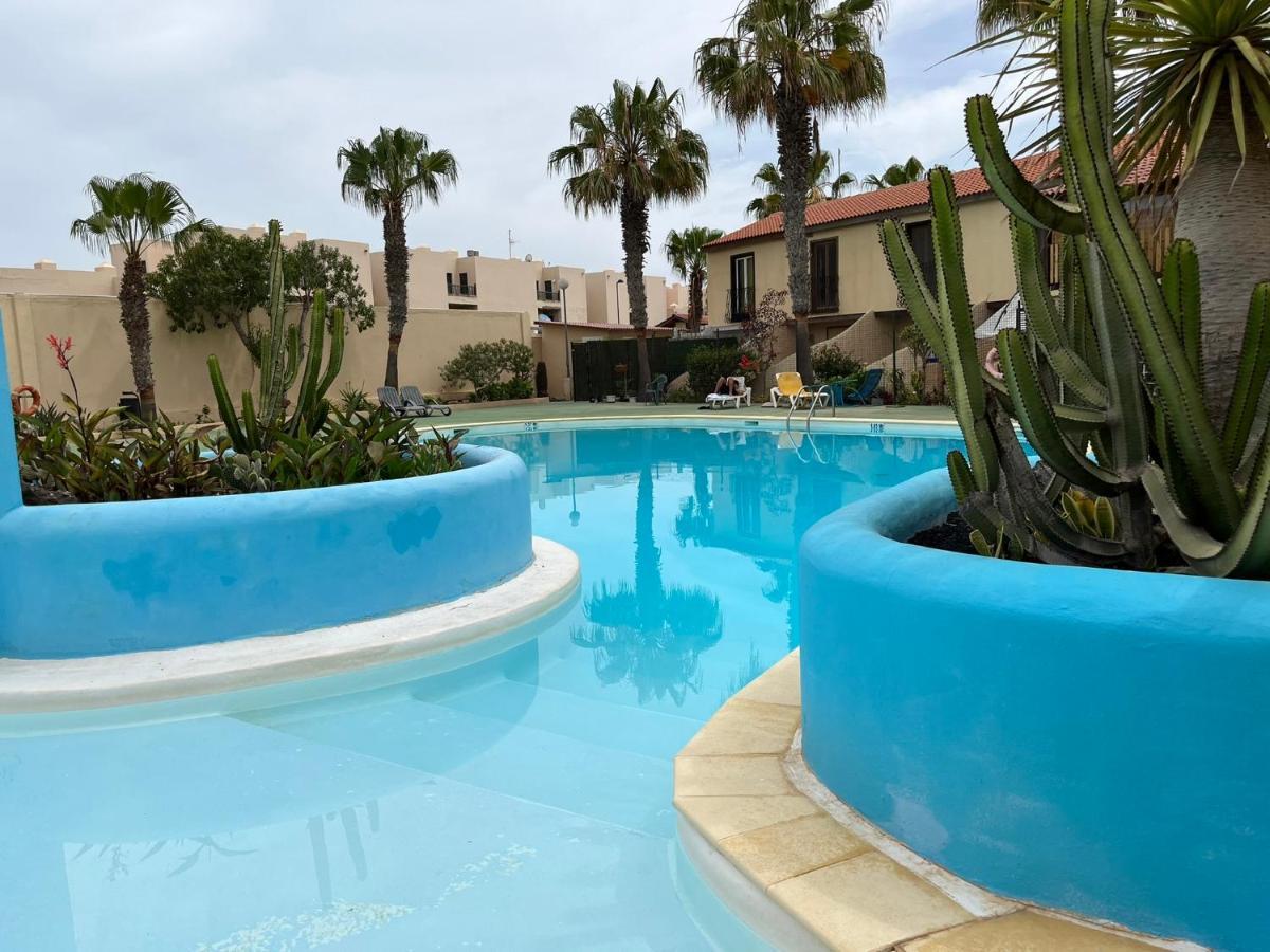 Surf & Chill Bungalow 69, Quiet Green Oasis With Community Swimmingpool Parque Holandes Zewnętrze zdjęcie