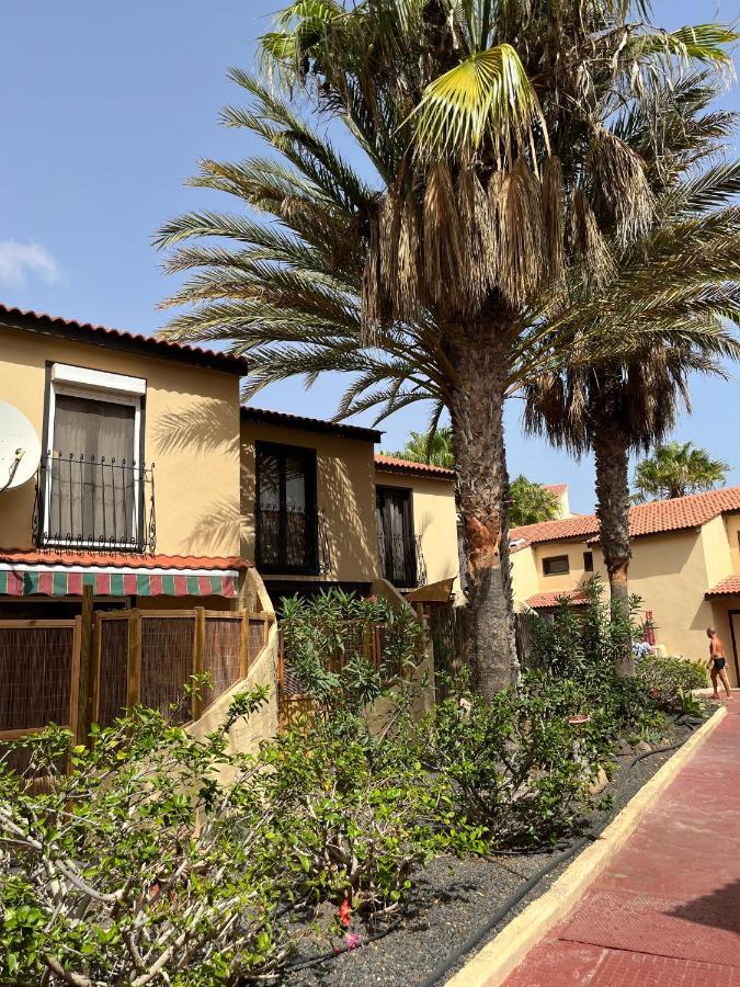 Surf & Chill Bungalow 69, Quiet Green Oasis With Community Swimmingpool Parque Holandes Zewnętrze zdjęcie