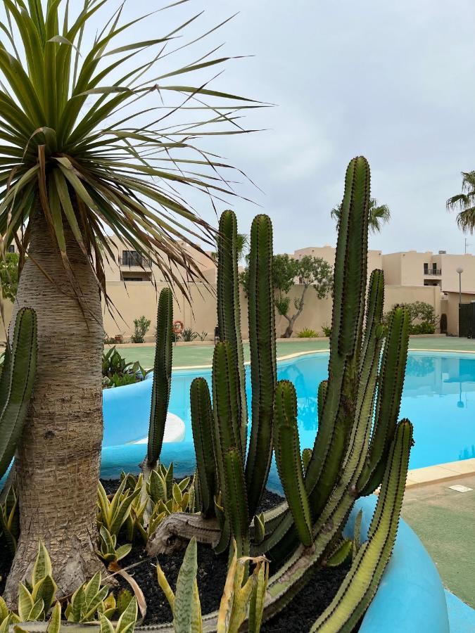 Surf & Chill Bungalow 69, Quiet Green Oasis With Community Swimmingpool Parque Holandes Zewnętrze zdjęcie