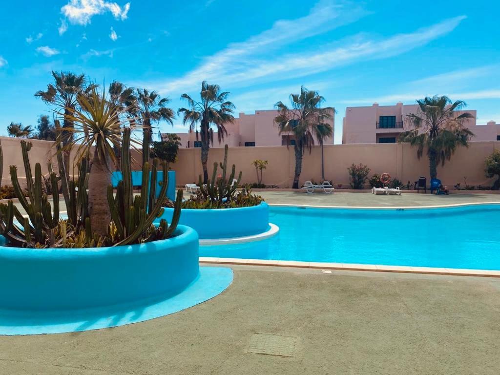 Surf & Chill Bungalow 69, Quiet Green Oasis With Community Swimmingpool Parque Holandes Zewnętrze zdjęcie