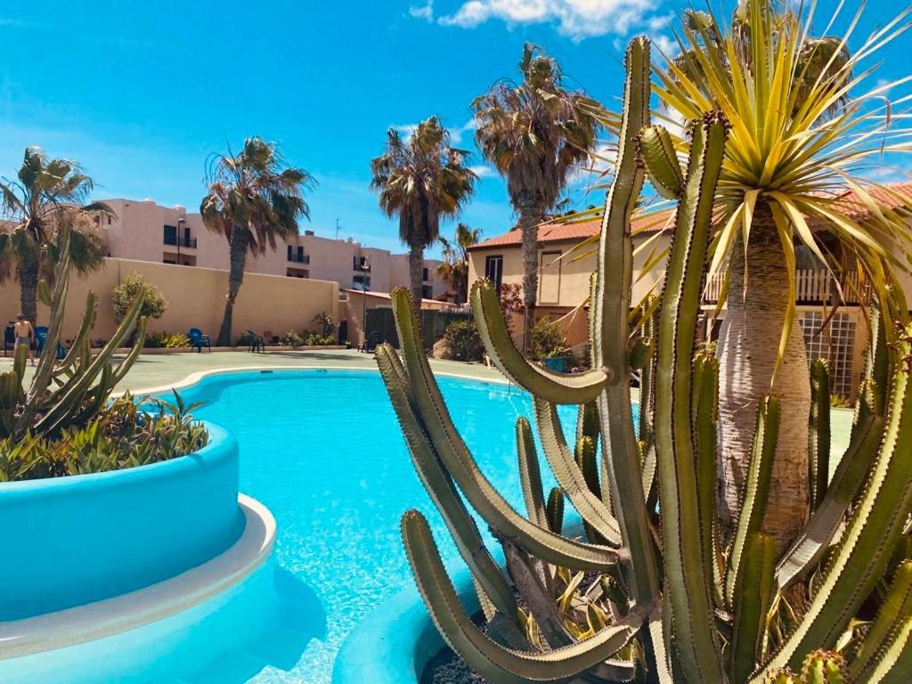 Surf & Chill Bungalow 69, Quiet Green Oasis With Community Swimmingpool Parque Holandes Zewnętrze zdjęcie